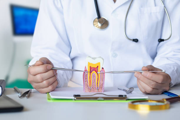 Best Tooth Pain Emergency Relief  in Marshall, WI